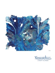 [AT-O-XXX137] Litografia reproducción 7obra artistica